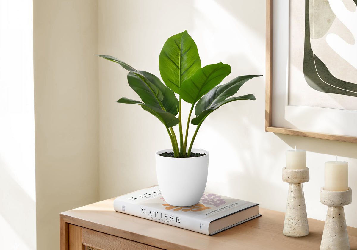 Monarch Specialties I 9502 — vue 1