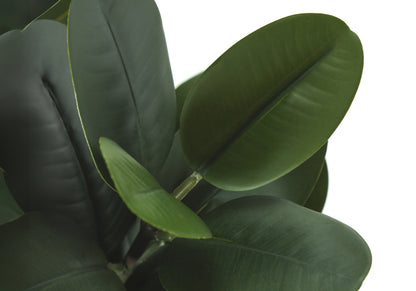Monarch Specialties I 9507 — vue 4