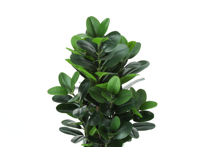 Monarch Specialties I 9507 — vue 5