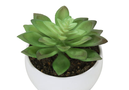 Monarch Specialties I 9555 — vue 4
