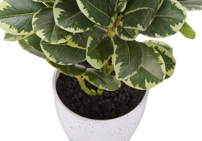 Monarch Specialties I 9557 — vue 4