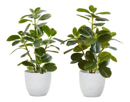 Monarch Specialties I 9557 — vue 2
