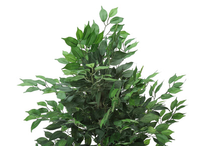 Monarch Specialties I 9564 — vue 5