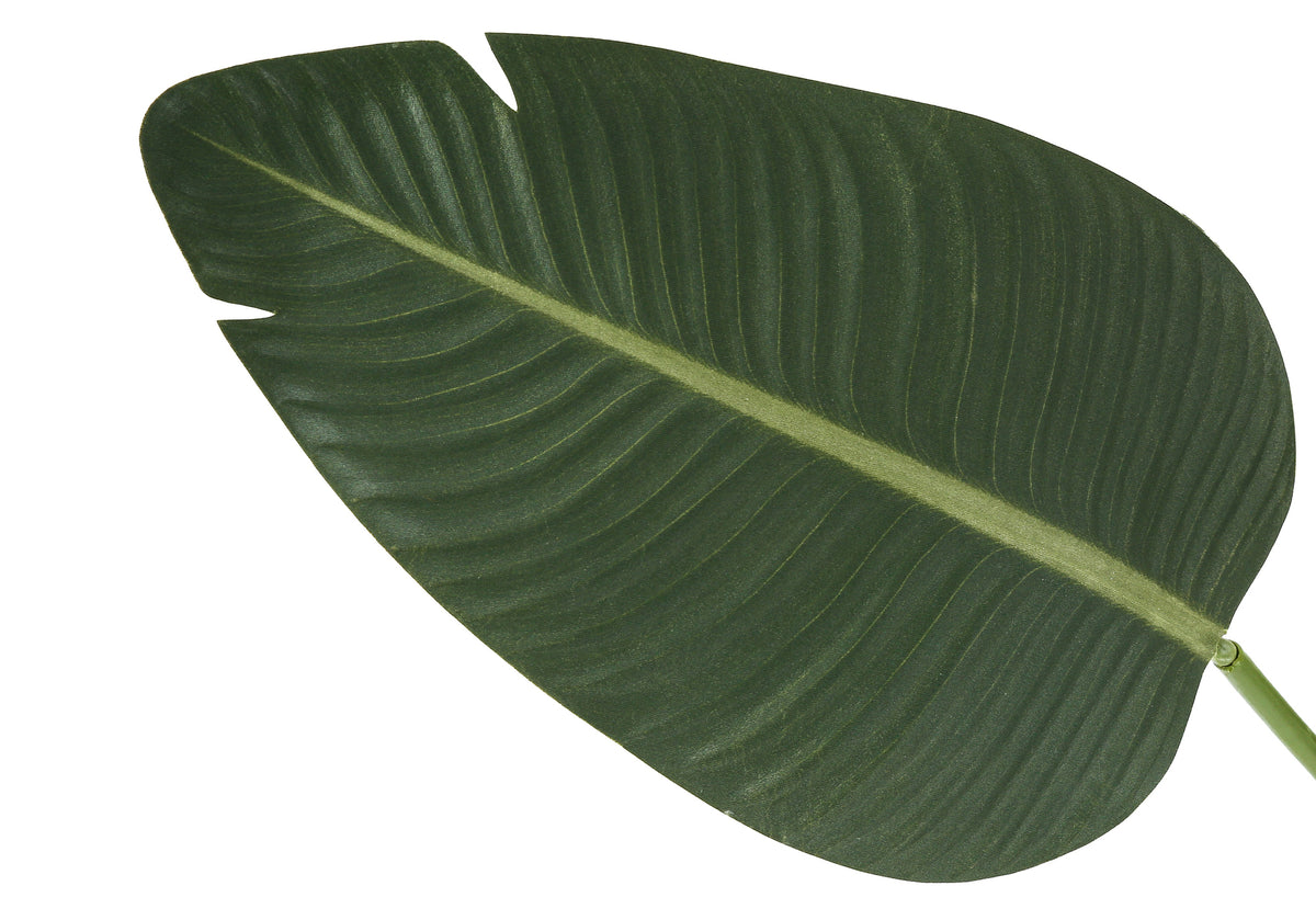 Monarch Specialties I 9570 — vue 4