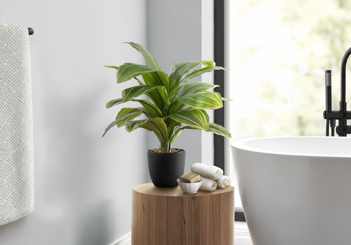 Monarch Specialties I 9573 — vue 1