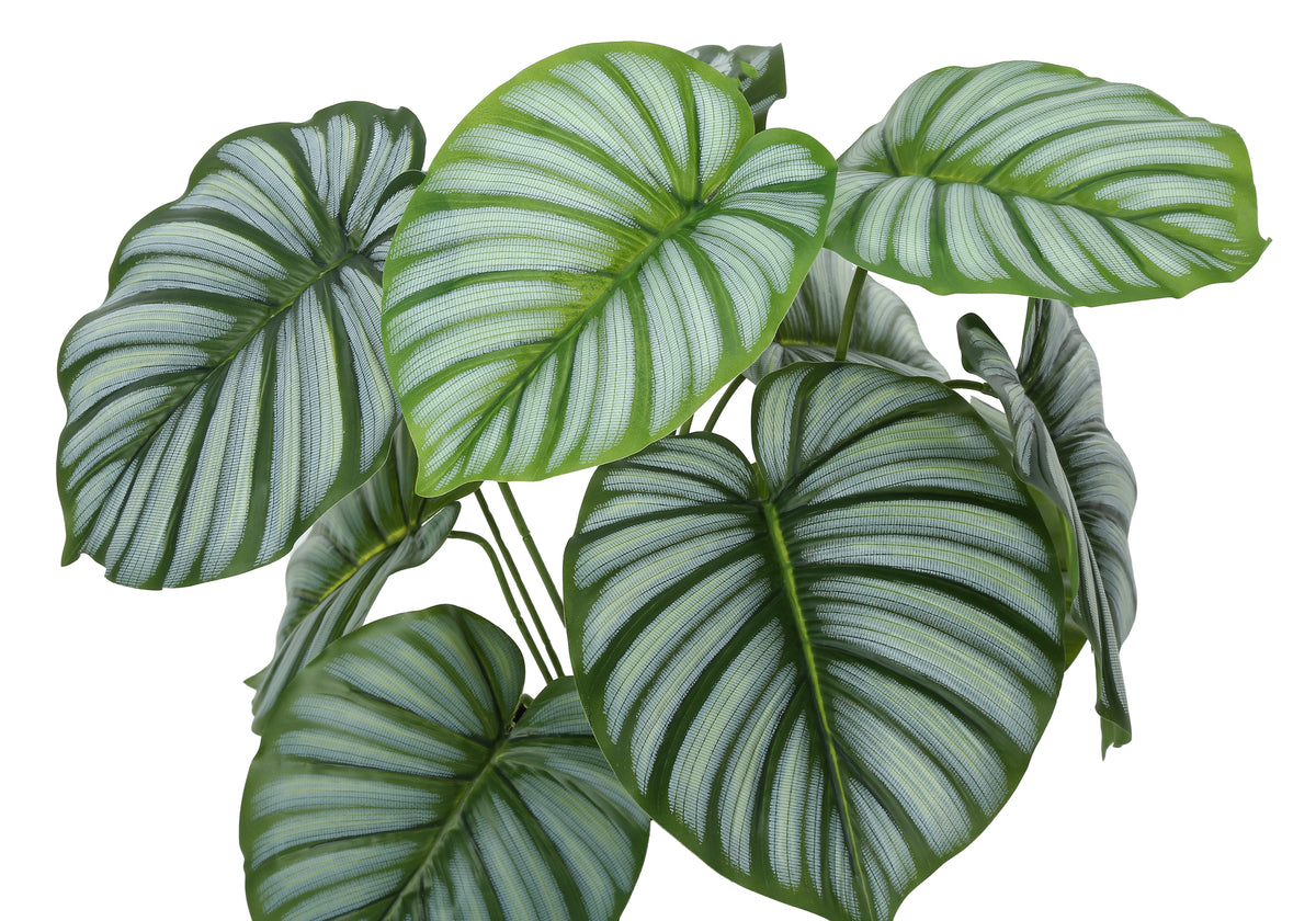Monarch Specialties I 9577 — vue 5
