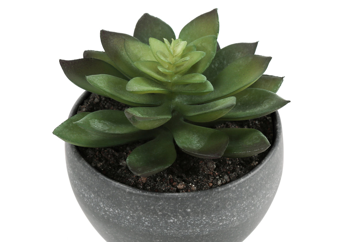 Monarch Specialties I 9587 — vue 5